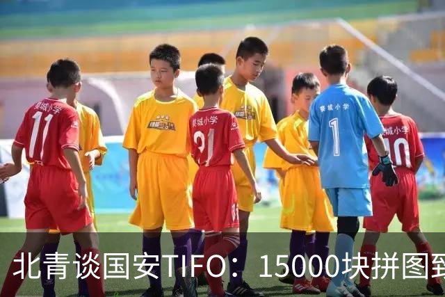 北青谈国安TIFO：15000块拼图致敬工体，激励国安亚冠争创佳绩