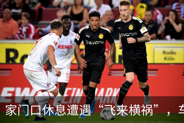 家门口休息遭遇“飞来横祸”，车辆驶过碾石飞溅崩断两颗牙齿！法院：属交通事故，承担赔偿责任