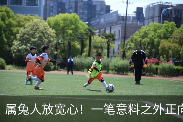属兔人放宽心！一笔意料之外正向收益正在靠近，稳住机会好好把握