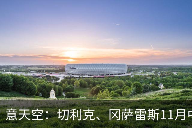 意天空：切利克、冈萨雷斯11月中旬国际比赛日后复出