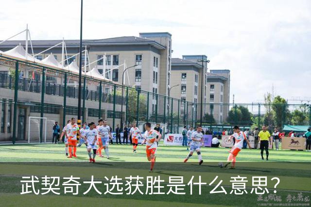 武契奇大选获胜是什么意思？