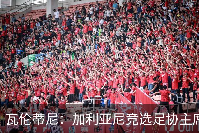 瓦伦蒂尼：加利亚尼竞选足协主席，意甲内部存在分裂