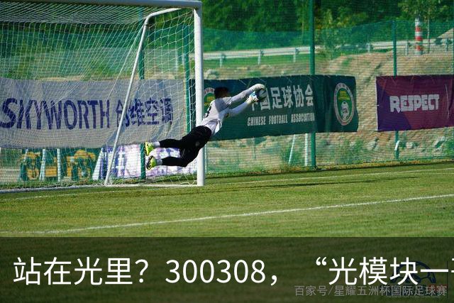 站在光里？300308，“光模块一哥”，Q3净利大增173%，环比增长放缓