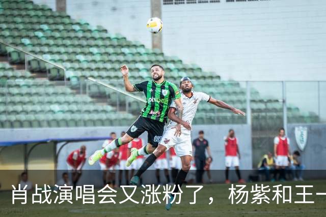 肖战演唱会又涨粉了，杨紫和王一博都被照顾了！