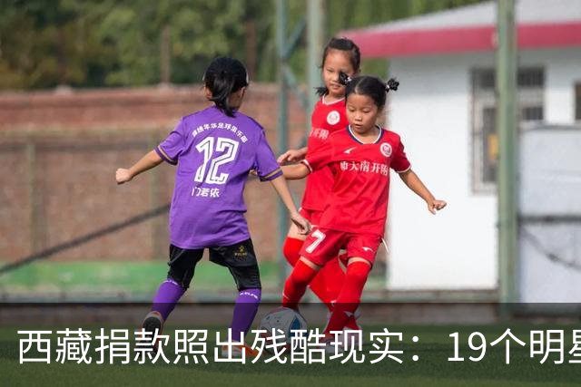 西藏捐款照出残酷现实：19个明星投奔黄晓明，而韩红只有一串数字