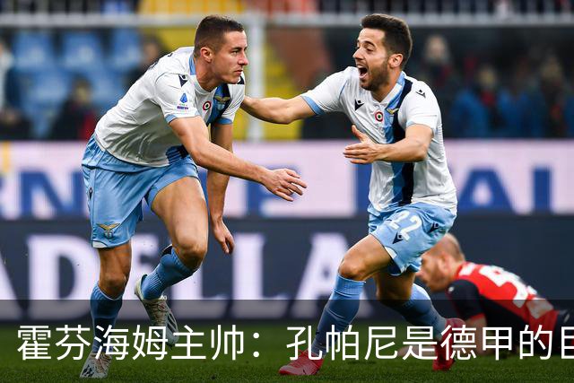 霍芬海姆主帅：孔帕尼是德甲的巨大财富，祝愿他早日康复