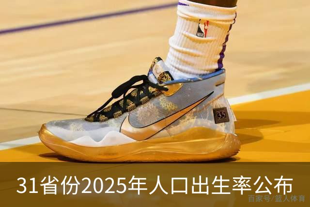 31省份2025年人口出生率公布